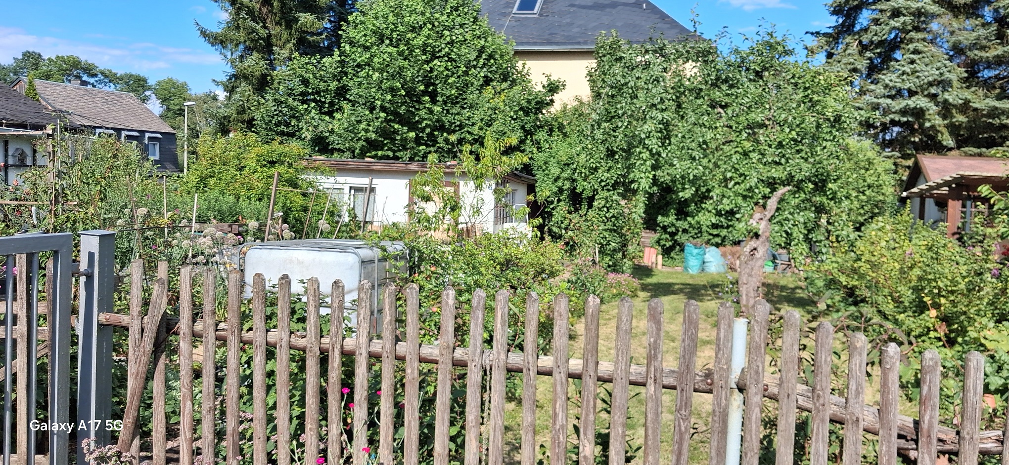 KGV "Wiesengrund" e.V., Freiberg, verschiedene Parzellen – Bild 6