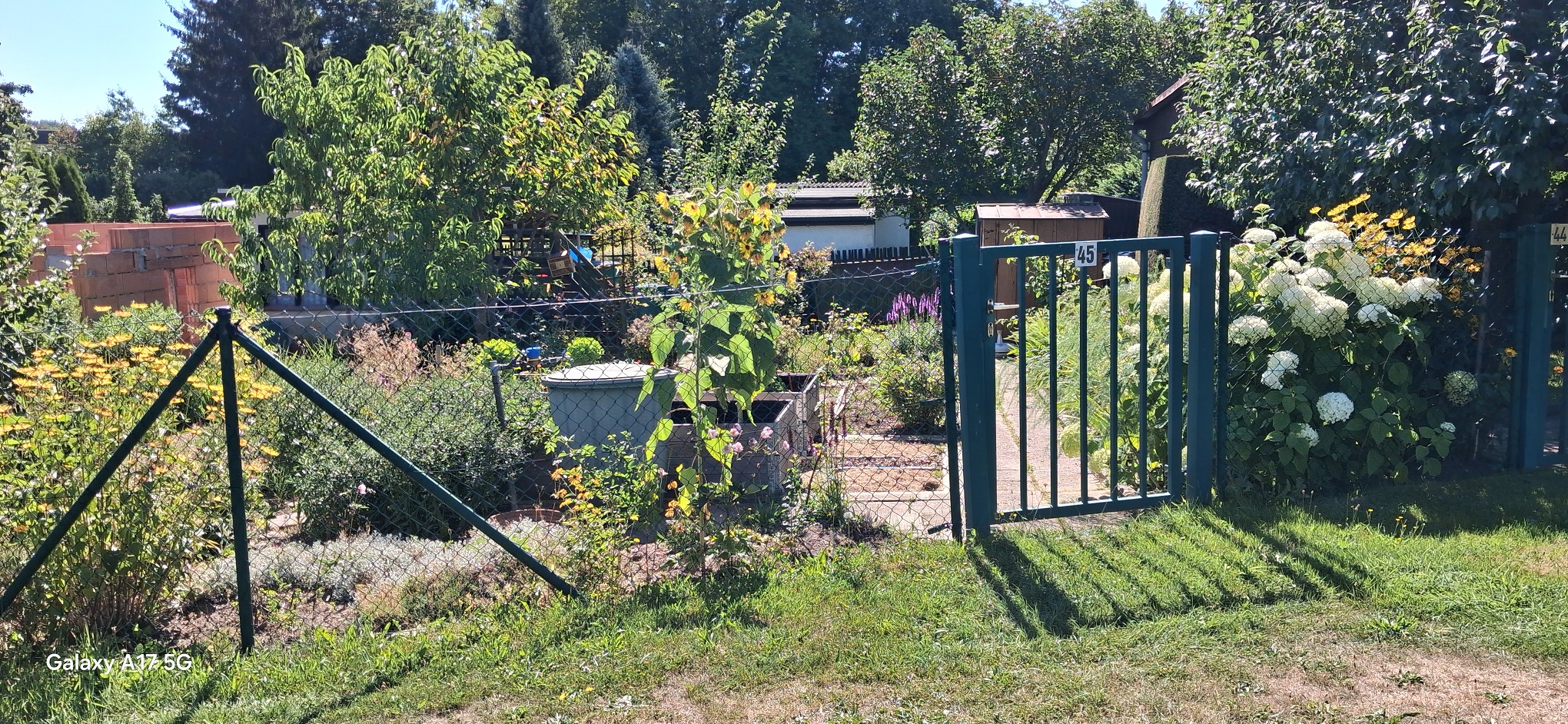 KGV "Wiesengrund" e.V., Freiberg, verschiedene Parzellen – Bild 9