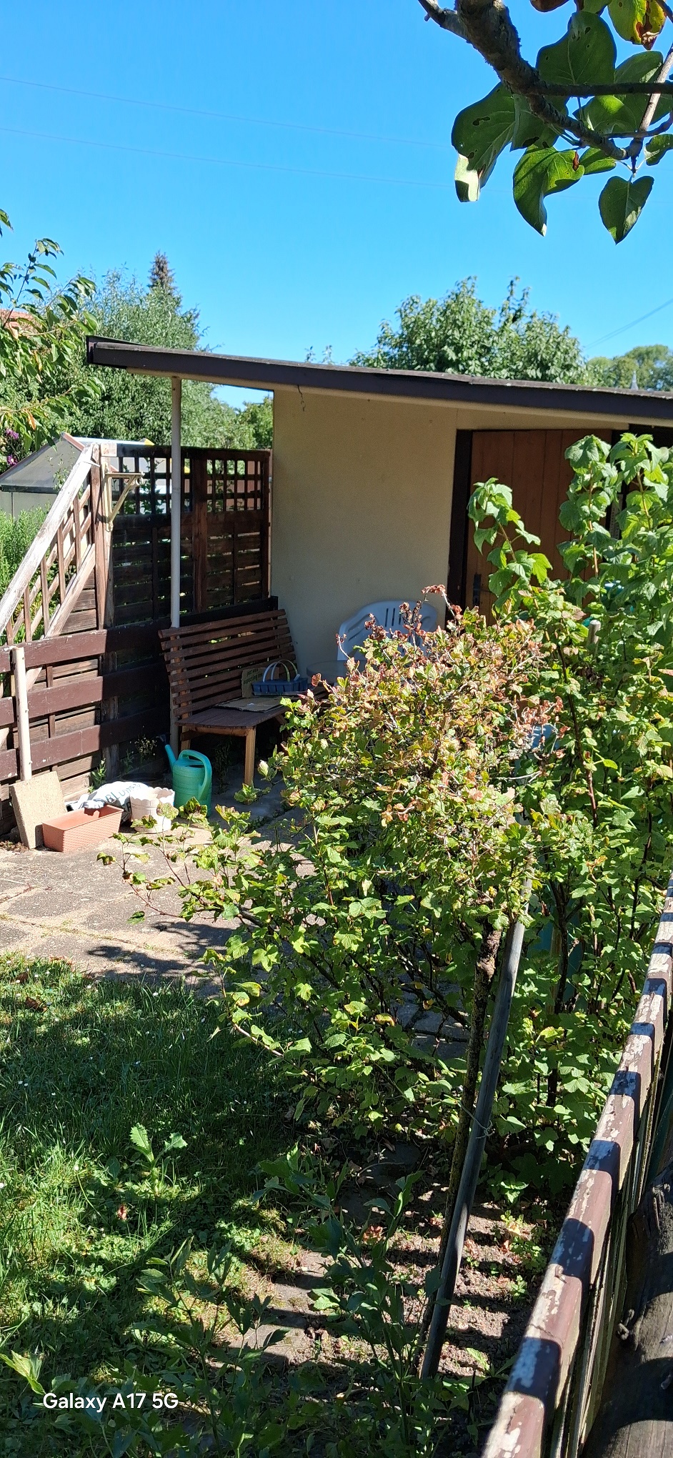 KGV "Wiesengrund" e.V., Freiberg, verschiedene Parzellen – Bild 8