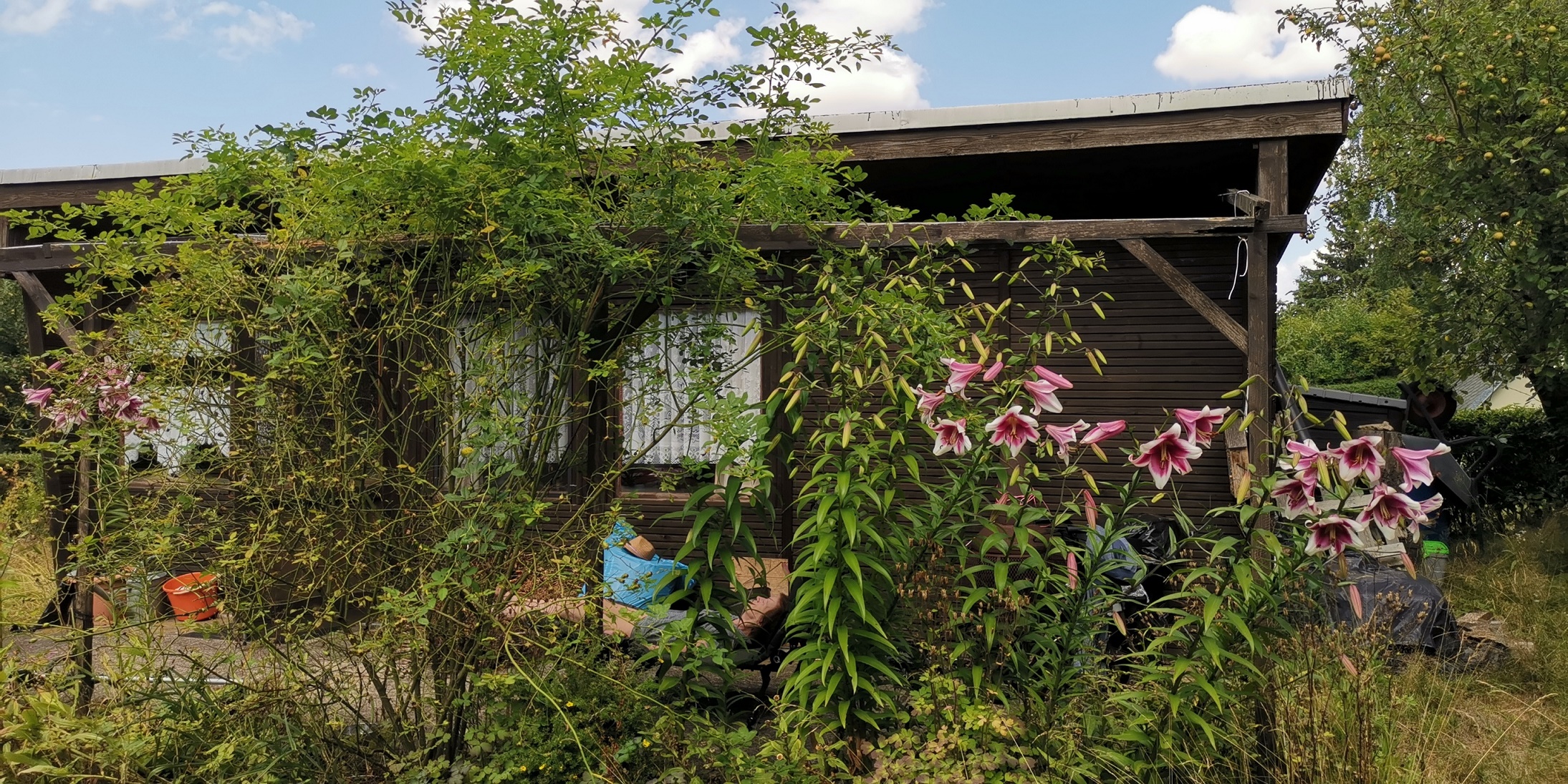 IMG_20250719_152359_resized_20251020_010601292