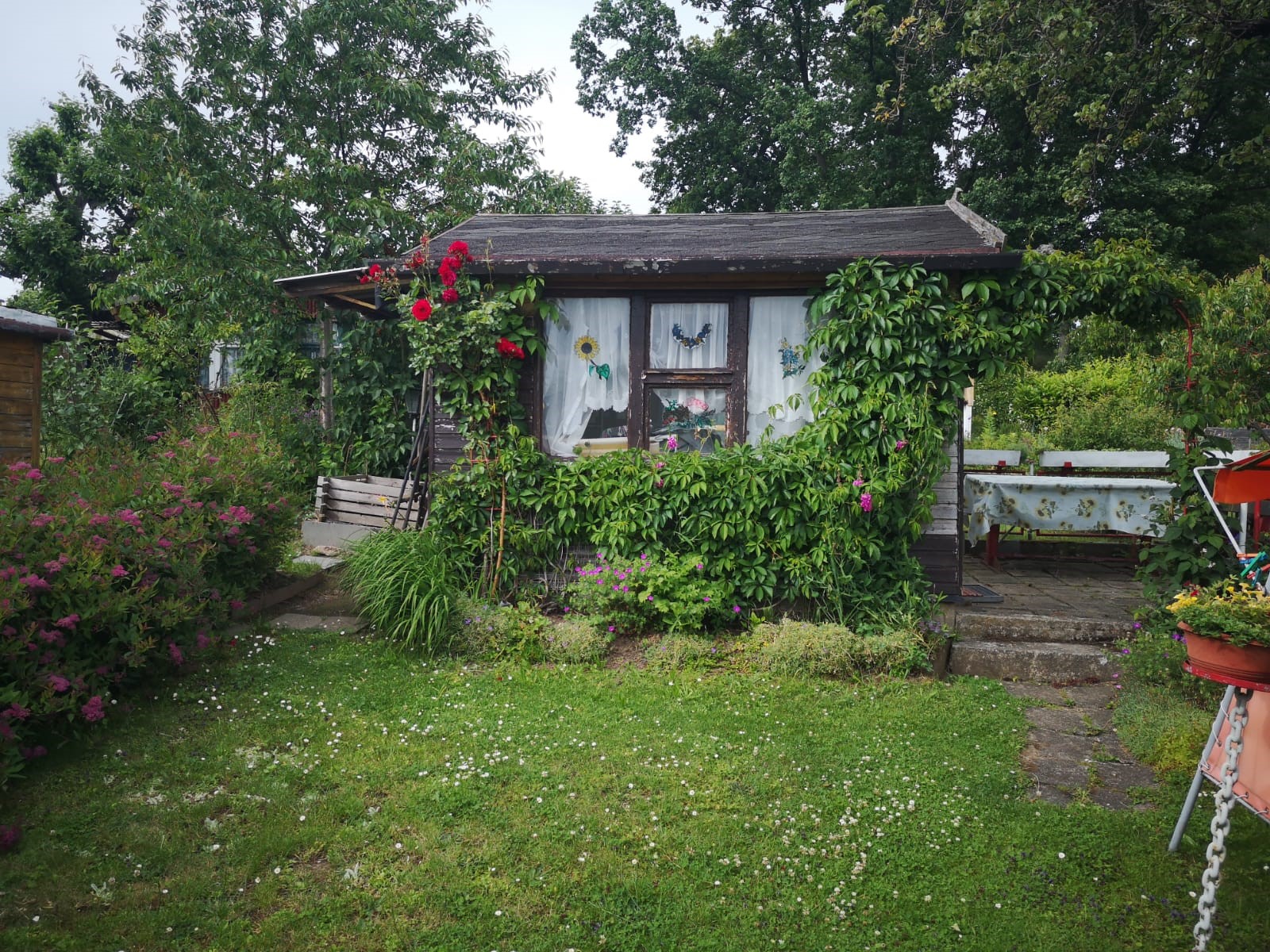 KGV "Zur Buschdrehe" e.V. Conradsdorf, Parzelle 9 – Bild 3